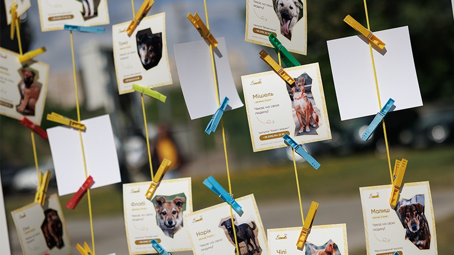 PAW PICNIC by MINI – благодійний захід на підтримку фонду Happy Paw